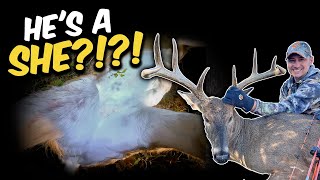 He's a She?! Crazy Hunt for an ANTLERED Doe! #whitetaildeer #bowhunting #deer #hunting