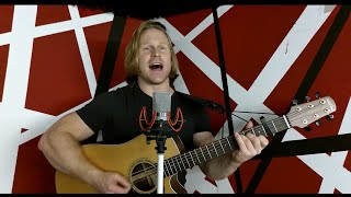 Dave Niederberger - Acoustic Evergreens