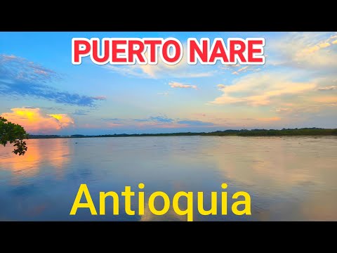 PUERTO NARE: El paraíso oculto a orillas del rio Magdalena 
