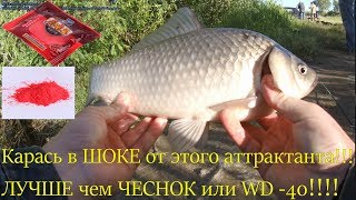 Запах прикормки для карася ранней весной своими руками