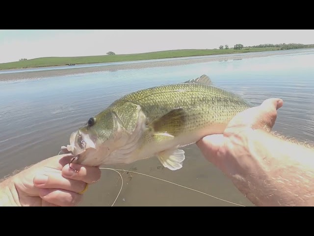 Judge.me YouTube video placeholder