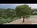 Areópago Atenas Grecia