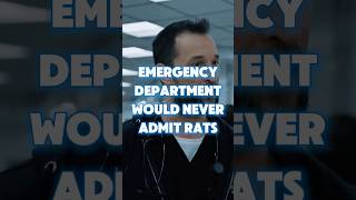 Robby Robinavitch: Emergency department would never admit rats... (The Pitt Series)