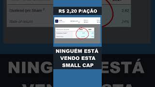 CUSTA SÓ R$ 10,00 E PODE PAGAR R$ 2,20 P/ AÇÃO - SMALL CAP FORA DO RADAR QUE PODE PAGAR 20% DE YIELD