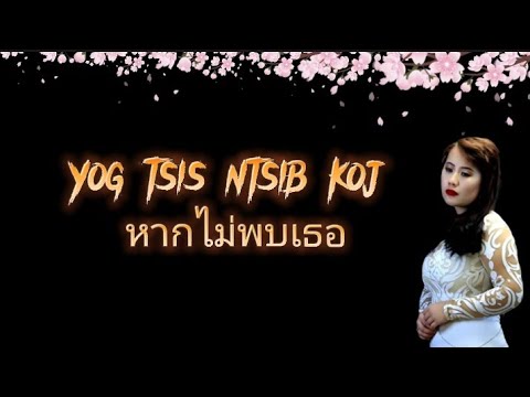 yog tsis ntsib koj ถ้าไม่พบเธอ  kab npauj laim #เพลงม้งแปลไทย ถ้าไม่เจอเธอในวันนี้หัวใจฉันคงไม่เจ็บ