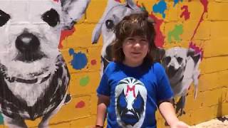 Watch a video of the new orphanage now