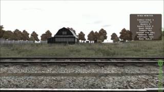 ArmA II - DayZ mod gameplay