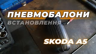 Пневмобаллони для Skoda OCTAVIA A5 2004-2013 85x200 задні з боковим вентилем (PRO85-200B-238)