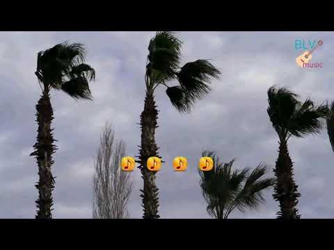 Vòng tay nhân ái - Lê Thu Hà