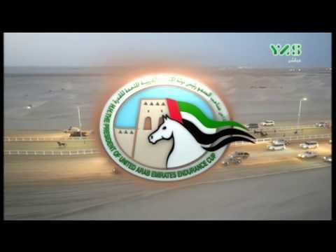 The UAE President Cup Endurance Race - Abu Dhabi 2017