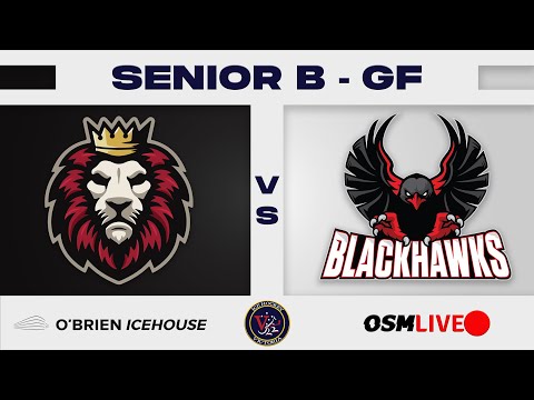 Grand Final | Monarchs vs Blackhawks | IHV Senior B | Ice Hockey