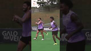 GALO FOCADO no SÃO PAULO!