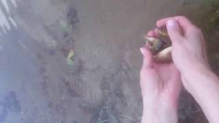Ссылка