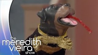 Triumph The Insult Dog Takes The #TwizzlerChallenge! | The Meredith Vieira Show