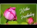 நேத்து பூத்தாளே Nethu Poothaley