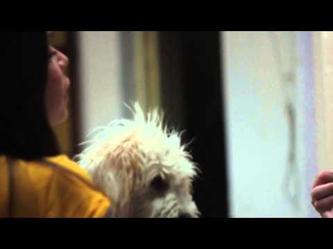 Bizarre love triangle - Priscilla Omil y Pablo Bustos