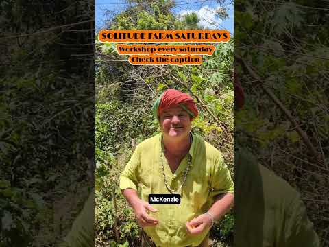 Reconnecting to Nature: Why Our Bodies Crave Harvesting