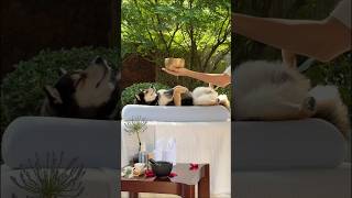 ASMR - Manyu tropical immersive SPA & sound therapy - Deep relaxing and soothing escape
