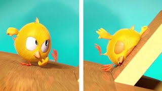 Chicky Is Clumsy | Where's Chicky? | Cartoon Collection in English for Kids | New episodes