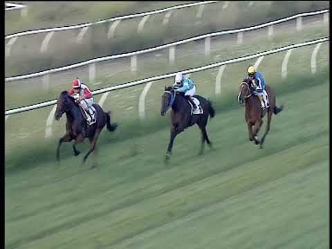 Galoppo 17/08/2019 - 3ª corsa