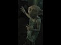 Dobby meets Luna #HarryPotter #Dobby #LunaLovegood