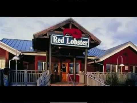 download lagu mp3 mp4 Does Red Lobster Have Gluten Free Items, download lagu Does Red Lobster Have Gluten Free Items gratis, unduh video klip Does Red Lobster Have Gluten Free Items