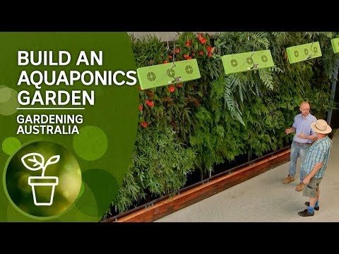 Build your own aquaponics garden
