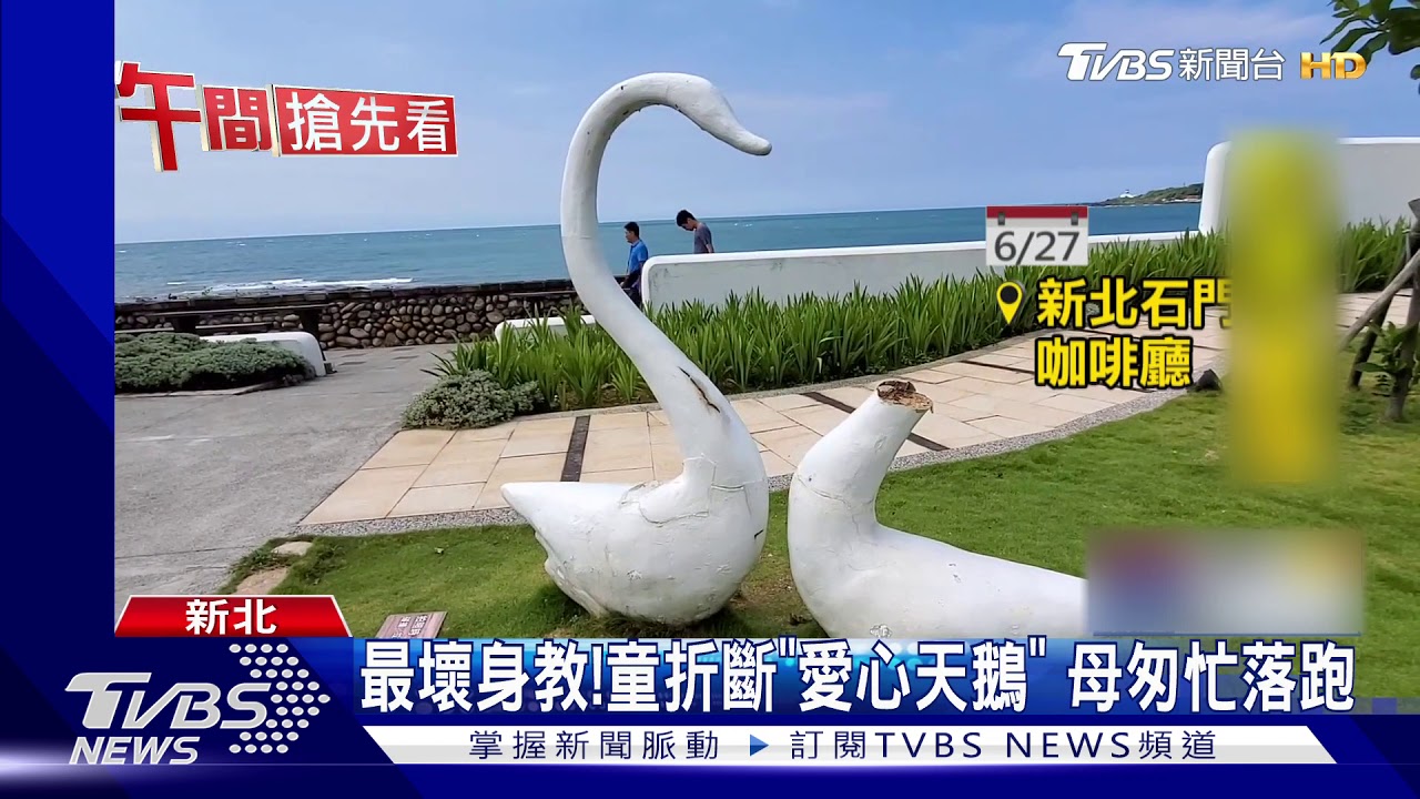 最壞身教!童折斷「愛心天鵝」 母匆忙落跑
