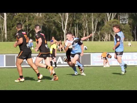 2015 1st Grade Grand Final Polecats v Tigers Highlights
