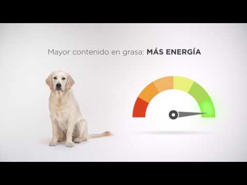 Video promocional de producto