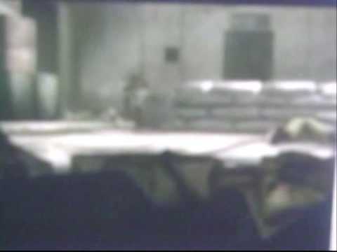 Old snake the origin...