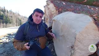 Masacru pe Valea Cerbului în Pădurea de pe Abruptul Prahovean