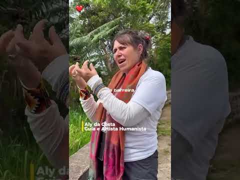 Ilha Comprida, São Paulo!