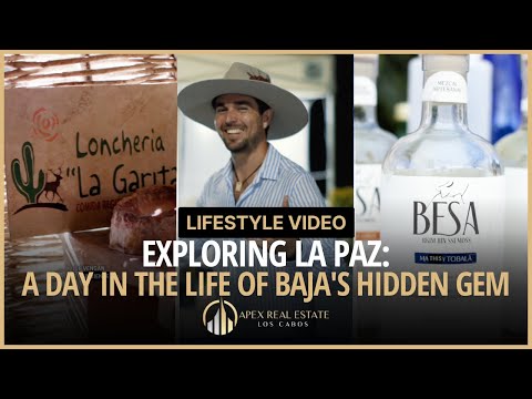 Exploring La Paz A Day in the Life of Baja's Hidden Gem