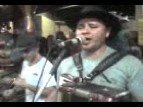 binguinha do acordeon