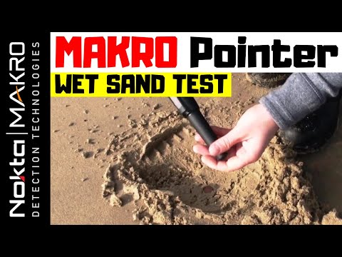 Makro Pointer - Wet Beach Mineralised Sand Test