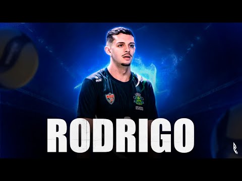 Highlights: RODRIGO RIBEIRO (Middle Blocker)