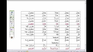 4) الشرح المطول للأمثلة المختلفة  / تدريبات على الباب الثاني (فعَل، يفعِل) image