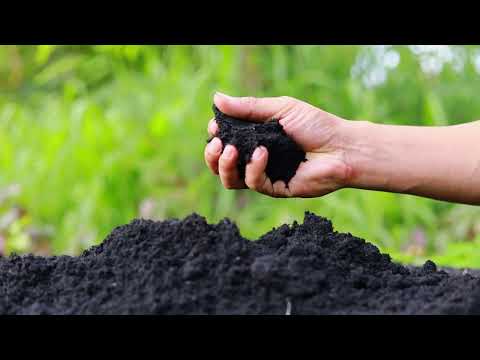 The Hidden Wealth Beneath Our Feet: Soil Organic Matter Explained