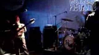 Kiltro Virtual Chancho en Piedra