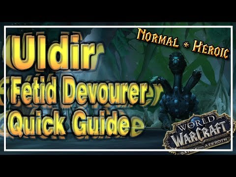 Fetid Devourer│Uldir│QUICK GUIDE (Normal & Heroic)