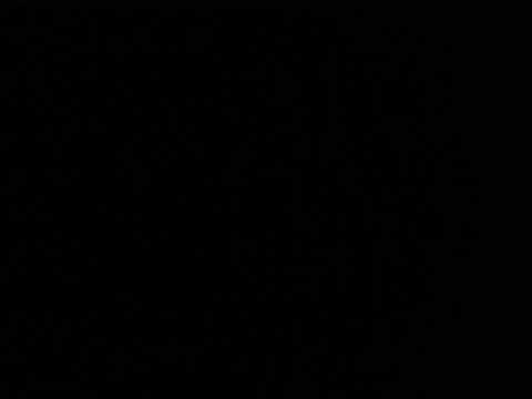 Creature sound effect 002 (Curious clicking)