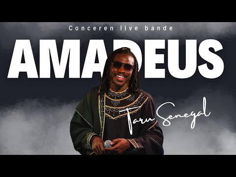 CONCERT AMADEUS LIVE