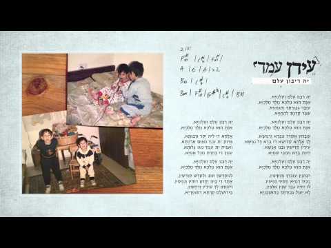 Idan Amedi & Elad Amedi