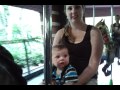 Central Park Carousel