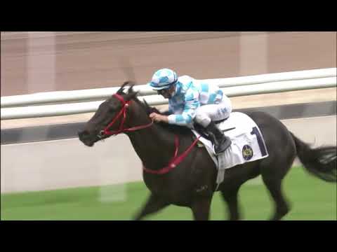 19/6/2022 (758) Tuchel - Z Purton