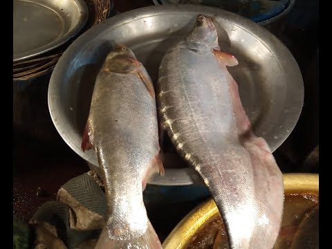 Amazing Fish Market in Bangladesh | Biggest Fish Market of Dhaka Video