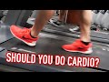 Should You Do Cardio? + 375 lb Bench Press ALL-TIME PR