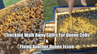 Checking Walk-Away Splits & Fixing Another Queen Issue