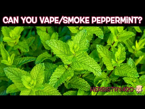 Can You Vape Mint? 5 Best Tips for Amazing Flavor